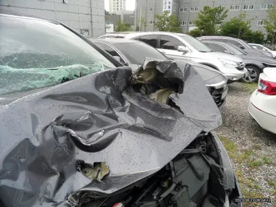 2019 Honda Odyssey 872KM5KBRL6880KB6 VIN:872KM5KBRL6880KB6