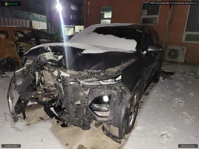 2019 Hyundai Santa FE KMHS281BBKU024186 VIN:KMHS281BBKU024186