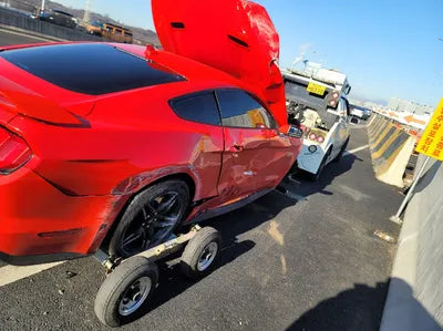 2020 Ford Mustang GT 1FA6P8CF0L5157397 VIN:1FA6P8CF0L5157397