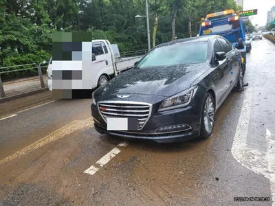 2016 acupuncture nessis 3.3 VIN: