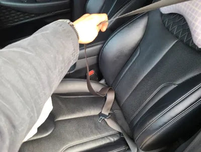 2019 Hyundai Santa FE KMHS281BBKU139725 VIN:KMHS281BBKU139725