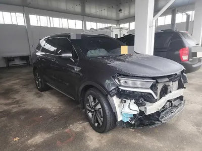 2021 Kia Sorento KNARL81GBMA050631 VIN:KNARL81GBMA050631