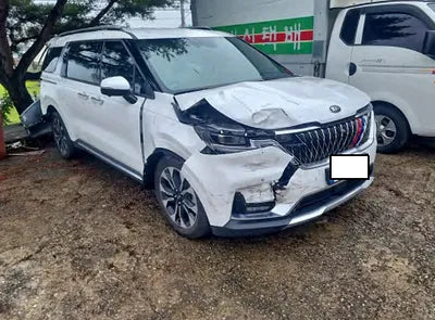 2021 Kia Carnival KNANE81BBMS073819 VIN:KNANE81BBMS073819