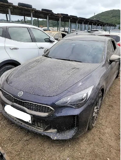 2021 Kia Stinger KNAE351DDMS111434 VIN:KNAE351DDMS111434