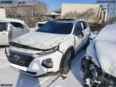 2019 Hyundai Santa FE KMHS381ABKU177949 VIN:KMHS381ABKU177949