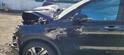 2022 Kia Sorento KNARJ81GBNA090208 VIN:KNARJ81GBNA090208