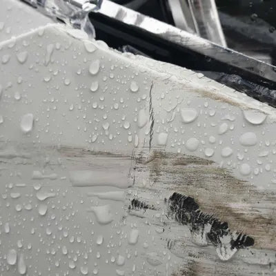 2020 BMW X4 M WBSUJ0107M9E51923 VIN:WBSUJ0107M9E51923