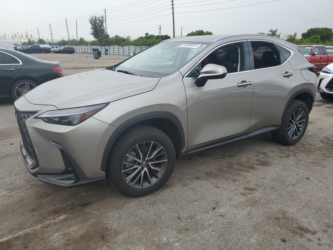 2024 LEXUS NX 250 BASE VIN:2T2ADCAZ0RC007388