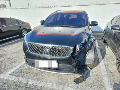 2015 Kia Sorento KNAPS81ABGA127564 VIN:KNAPS81ABGA127564
