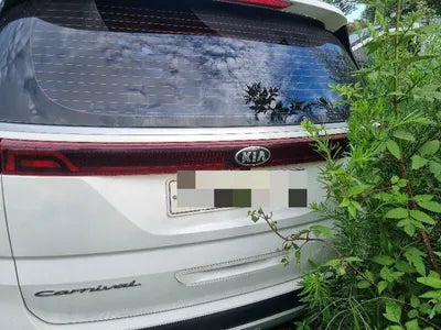 2021 Kia Carnival KNANB81BBMS069976 VIN:KNANB81BBMS069976