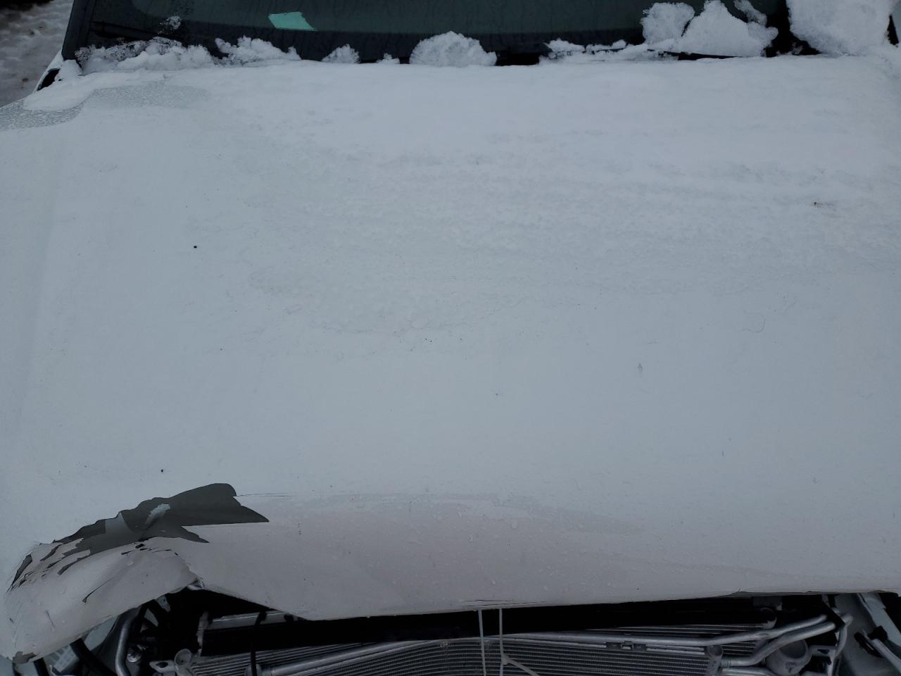 2023 CHEVROLET TRAILBLAZER ACTIV VIN:KL79MVSL7PB183831