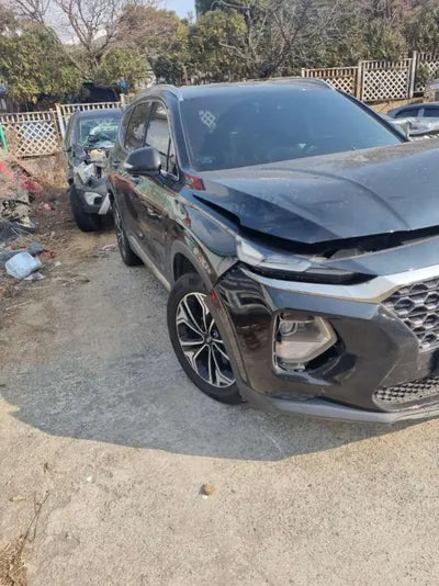 2019 Hyundai Santa FE 564KMKMHS381CDKU0 VIN:564KMKMHS381CDKU0