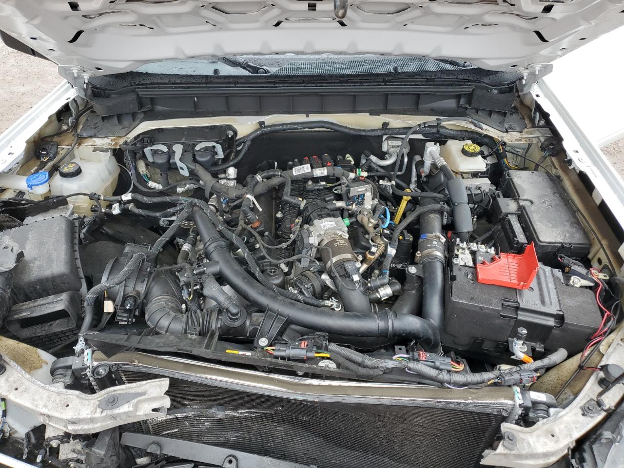 2022 FORD BRONCO BASE VIN:1FMEE5BP0NLB54692