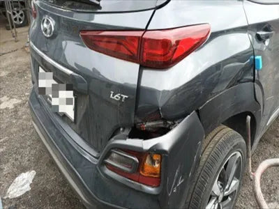 2019 Hyundai Kona KMHK4815GKU387758 VIN:KMHK4815GKU387758