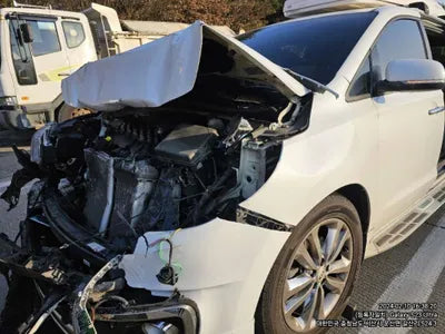 2016 Kia Carnival 515KMKNAMC81ABGS0 VIN:515KMKNAMC81ABGS0