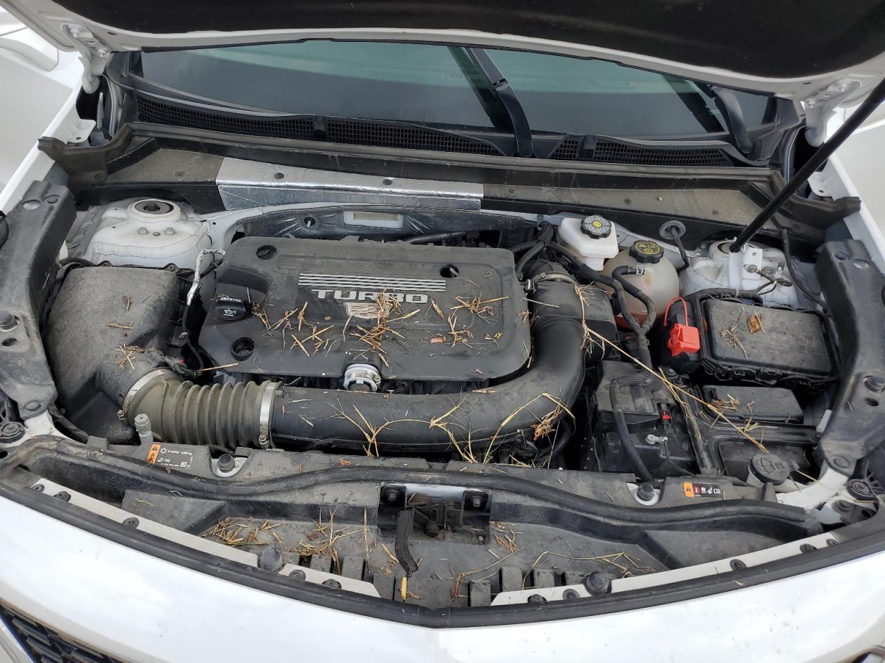 2023 CADILLAC XT4 LUXURY VIN:1GYAZAR41PF107288