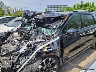 2020 Kia Carnival KNANC81BBMS039848 VIN:KNANC81BBMS039848
