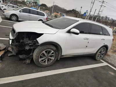 2019 Kia Sorento KNAPG81BDKA540068 VIN:KNAPG81BDKA540068