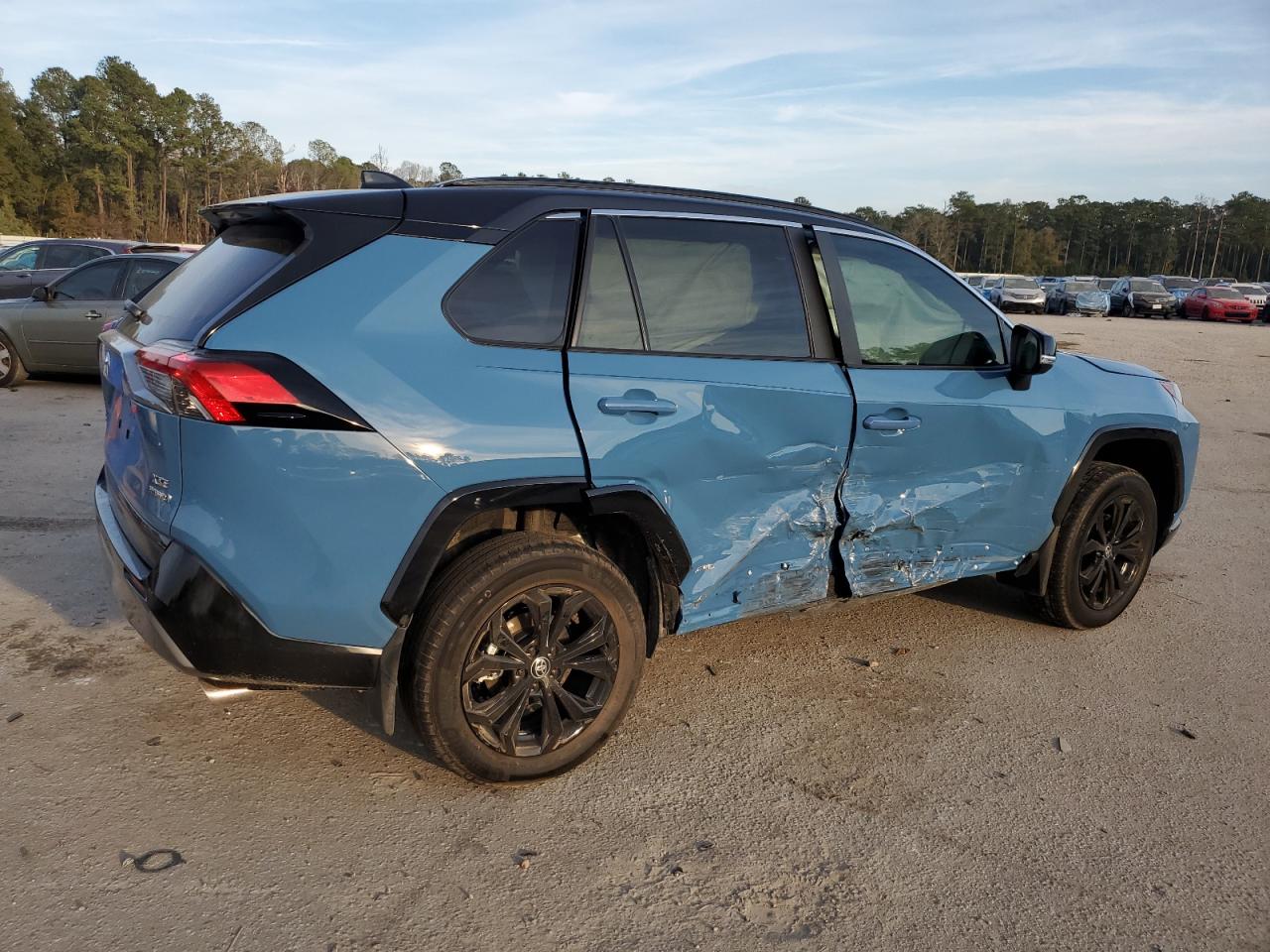 2024 TOYOTA RAV4 XSE VIN:4T3E6RFV5RU168236