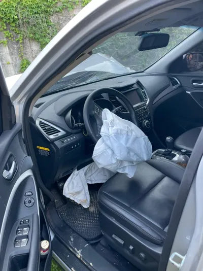 2016 Hyundai Santa FE KMHSW81UDGU698941 VIN:KMHSW81UDGU698941