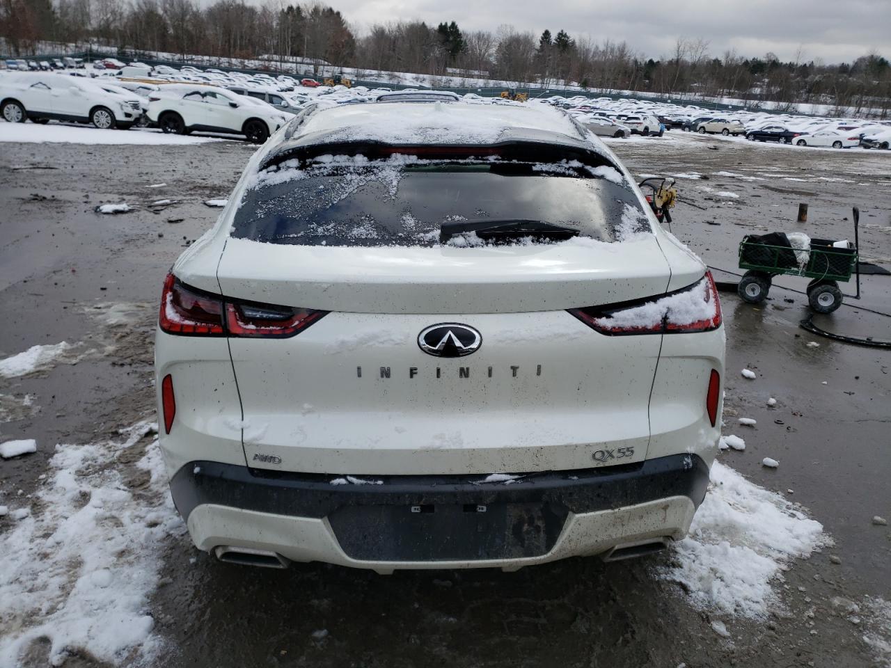 2023 INFINITI QX55 LUXE VIN:3PCAJ5JR6PF101230