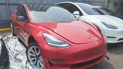 2020 Tesla Model 3 5YJ3E1EB6LF695539 VIN:5YJ3E1EB6LF695539