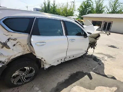 2021 Hyundai Santa FE KMHS381HGMU344096 VIN:KMHS381HGMU344096