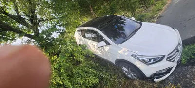 2016 Hyundai Santa FE KMHSW81UBGU638113 VIN:KMHSW81UBGU638113