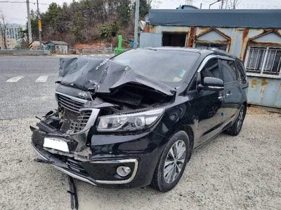 2016 Kia Carnival KNAMB81ABGS202107 VIN:KNAMB81ABGS202107