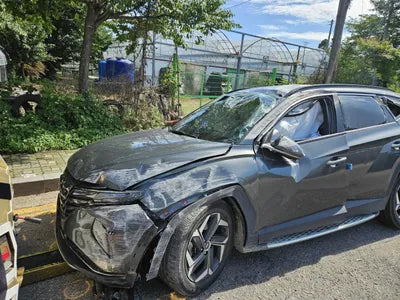 2020 Hyundai Tucson KMHJE81BGMU001874 VIN:KMHJE81BGMU001874