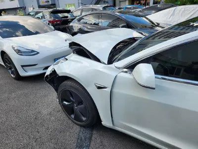 2020 Tesla Model 3 5YJ3E1EB3LF809738 VIN:5YJ3E1EB3LF809738