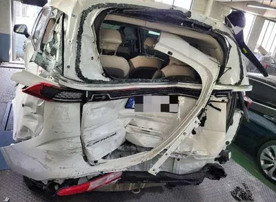 2020 Kia Carnival KNANC81BBMS021671 VIN:KNANC81BBMS021671