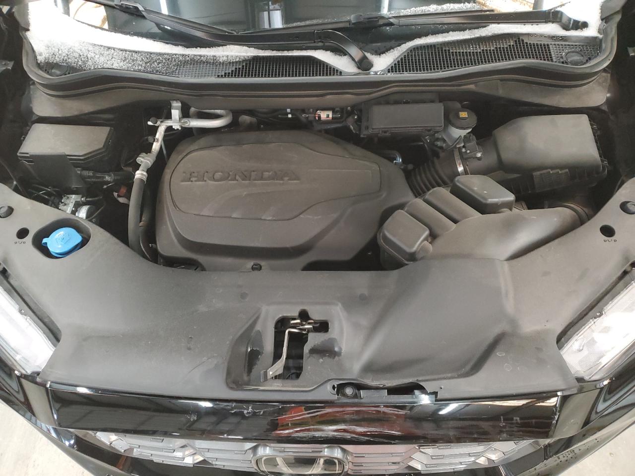 2023 HONDA PASSPORT TRAIL SPORT VIN:5FNYF8H62PB005205