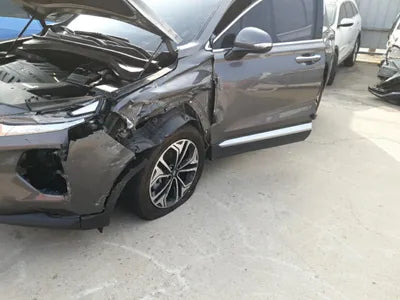 2019 Hyundai Santa FE KMHS381BBLU194994 VIN:KMHS381BBLU194994