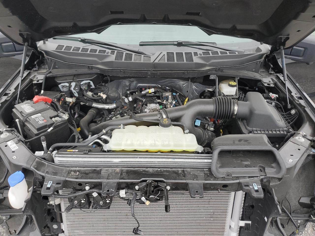 2024 FORD F150 XLT VIN:1FTEW3LP5RFA45198