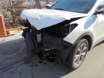 2015 Hyundai Santa FE KMHSW81UBFU345269 VIN:KMHSW81UBFU345269