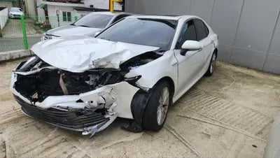 2019 Toyota Camry JTNB21HK0K3039876 VIN:JTNB21HK0K3039876