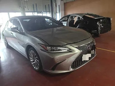 2019 Lexus ES 300 JTHB21B13K2038973 VIN:JTHB21B13K2038973