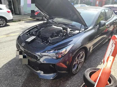 2019 Kia Stinger KNAE751CDKS058777 VIN:KNAE751CDKS058777