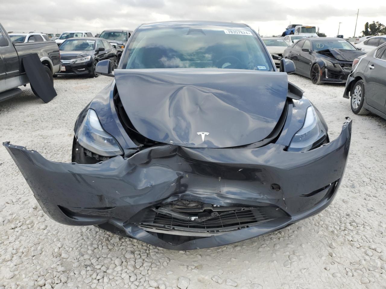 2023 TESLA MODEL Y  VIN:7SAYGDEE3PA165028