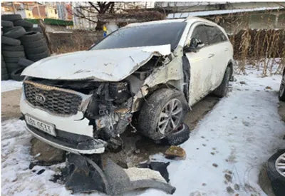 2020 Kia Sorento KNAPG81BBLA569568 VIN:KNAPG81BBLA569568