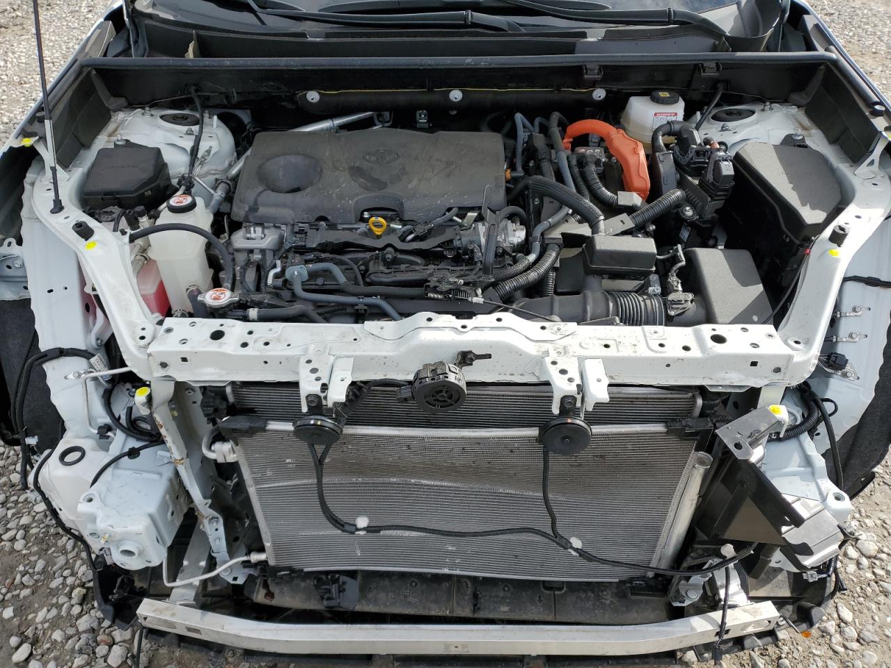 2022 TOYOTA RAV4 XLE PREMIUM VIN:JTMB6RFV6ND535039