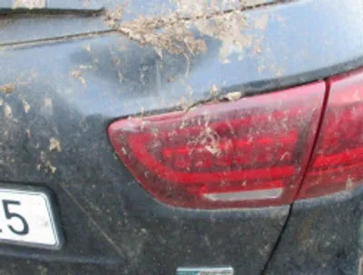 2020 Kia Sorento KNAPG81ABLA554202 VIN:KNAPG81ABLA554202