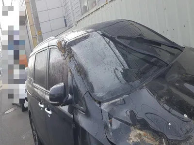 2018 Kia Carnival KNAMB81ABKS467554 VIN:KNAMB81ABKS467554