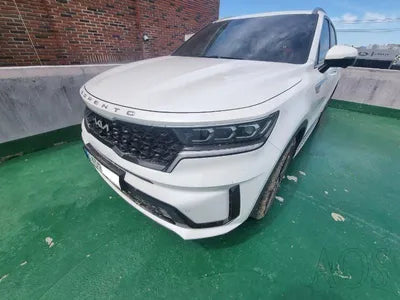 2021 Kia Sorento KNARM81GBNA071638 VIN:KNARM81GBNA071638