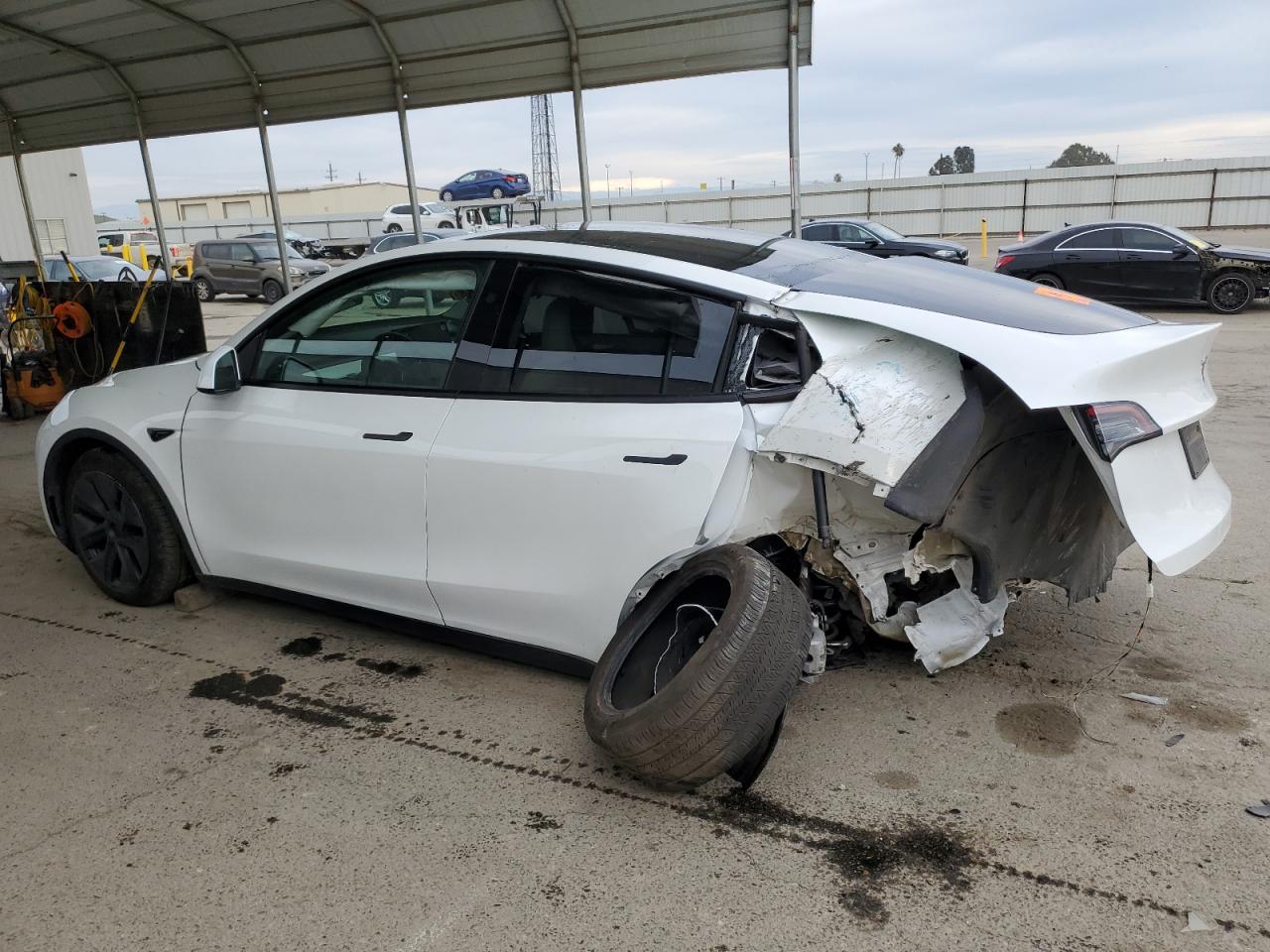 2024 TESLA MODEL Y  VIN:7SAYGDED2RF155992