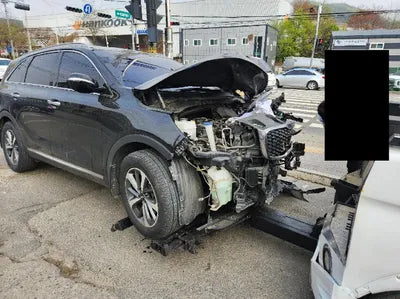 2018 Kia Sorento KNAPG81ADJA418635 VIN:KNAPG81ADJA418635