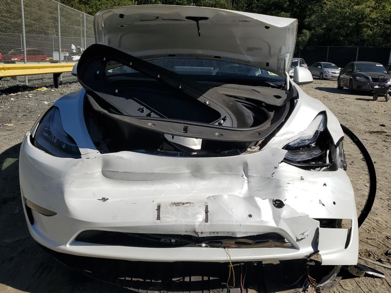 2022 TESLA MODEL Y  VIN:7SAYGAEE8NF358449