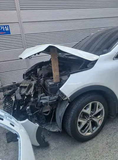 2017 Kia Sorento KNAPH81ABHA287364 VIN:KNAPH81ABHA287364