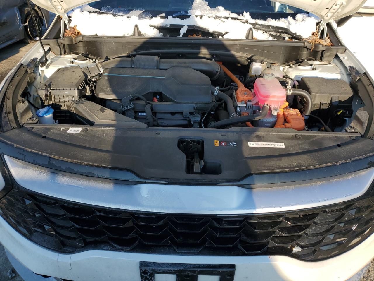2023 KIA SPORTAGE EX VIN:KNDPVCAG8P7069873